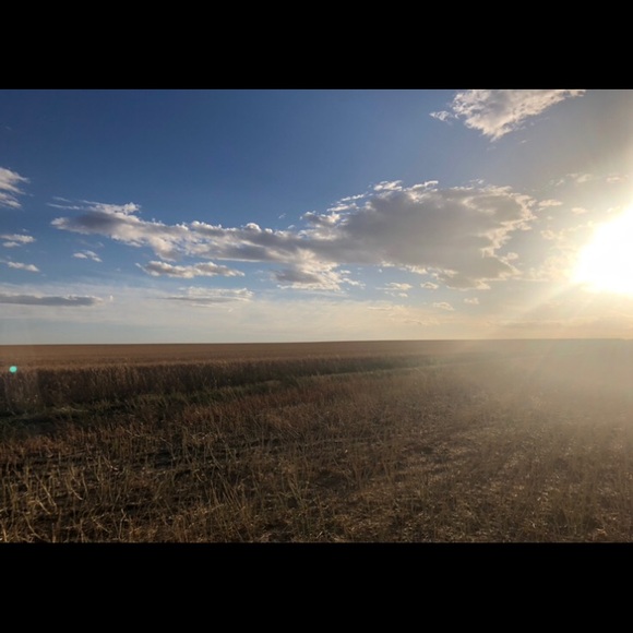 Meet your Posher, Lacey - Picture 1 of 1